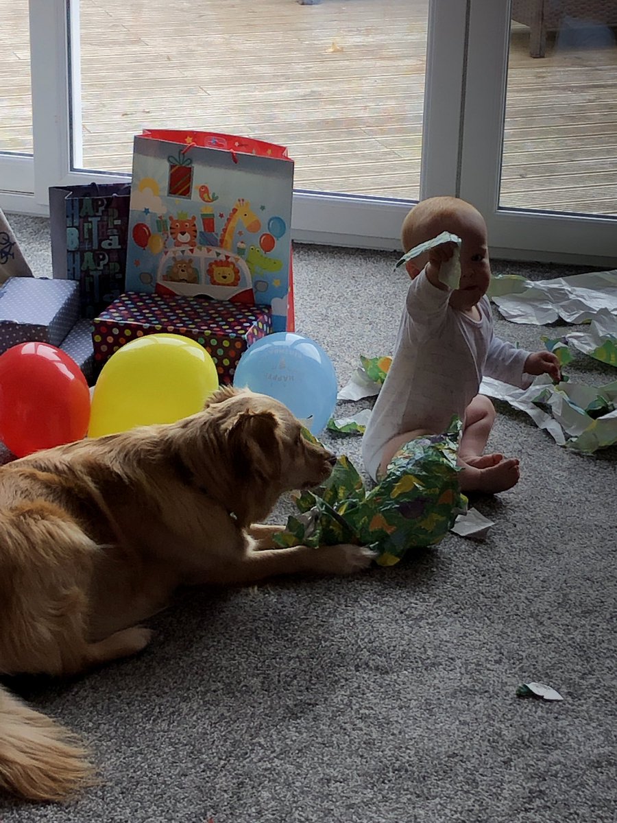 higgsabelle's tweet photo. Just like that we have a one year old!! It’s been the fastest yr ever but filled with so much love and pride. A trip to the zoo yesterday and a very excited (and now napping!)  birthday boy this morning 🥰 https://t.co/HNH4qiOe5B