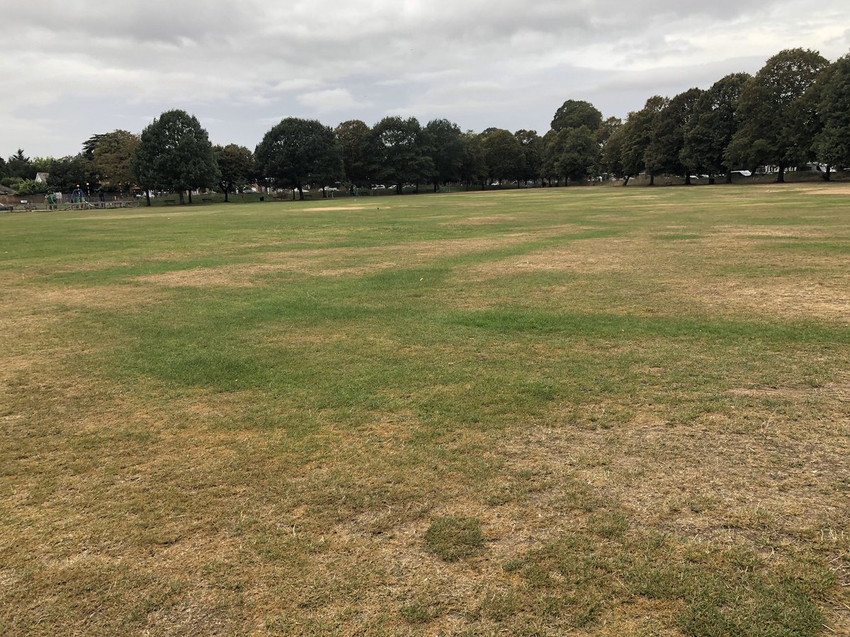 JJM_Ealing's tweet photo. Hello #Pitshanger #GBHighSt residents If you’re visiting #Pitshangerpark #Clevelandpark or #Scotchcommon over this weekend meeting friends, please don’t leave litter behind #Binit or if the bins are full, please take it home with you. Don’t risk spreading the virus #StayAlert https://t.co/OndTqW9UVM