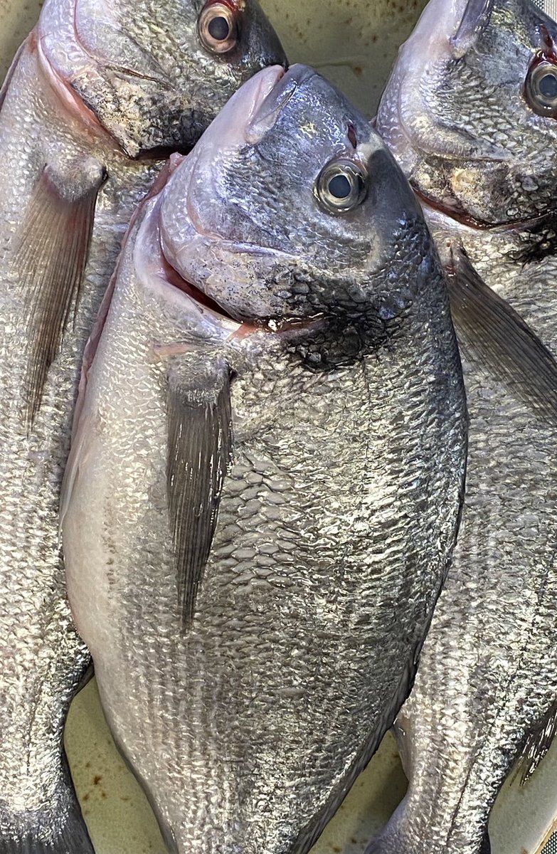 GuysEatingEst's tweet photo. Thanks to all our wonderful guests for calling into see us yesterday and enjoyed our hand dived sea scallops &amp; fresh sea bream from our friends @midlandfish @GTHamlet #fish #catchoftheday #dineout #friendsandfamily #guyseatingestablishment #foodie https://t.co/cHobCeljer