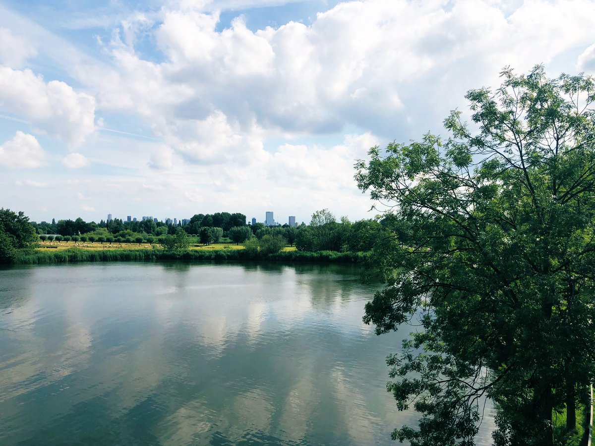 Zomer thuis ☀️ #Rotterdam