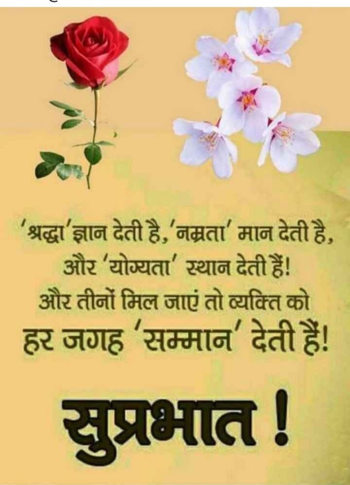 ip_tomar's tweet photo. @SapnaMalik_ https://t.co/L1Srhrojtj