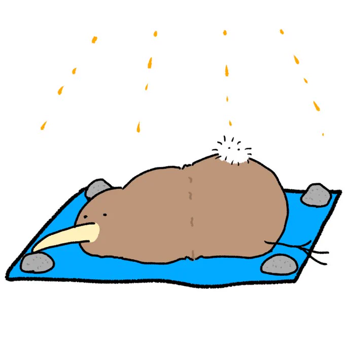 天日干しされたキーウィ 