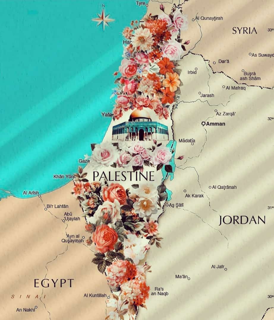 يوما ما ستعود ♥️♥️