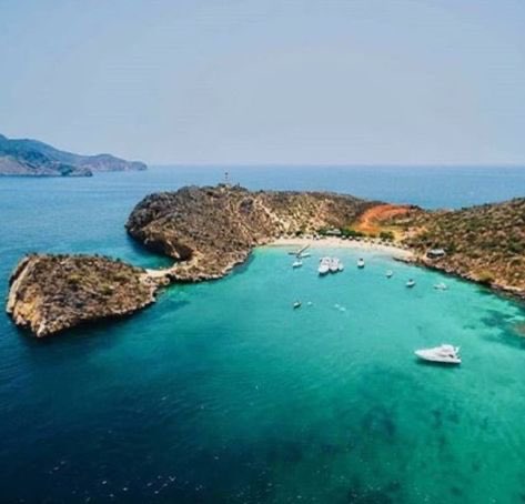 GianlucaCoccon1's tweet photo. Playa el Faro es como se le conoce correctamente, ubicada en la isla Chimana, Parque Nacional Mochima...VENEZUELA 🇻🇪🇻🇪🇻🇪🇻🇪🇻🇪🇻🇪🇻🇪🇻🇪🇻🇪🇻🇪🇻🇪🇻🇪🇻🇪 https://t.co/ymMAxrQy2l