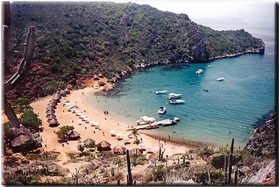 GianlucaCoccon1's tweet photo. Playa el Faro es como se le conoce correctamente, ubicada en la isla Chimana, Parque Nacional Mochima...VENEZUELA 🇻🇪🇻🇪🇻🇪🇻🇪🇻🇪🇻🇪🇻🇪🇻🇪🇻🇪🇻🇪🇻🇪🇻🇪🇻🇪 https://t.co/ymMAxrQy2l