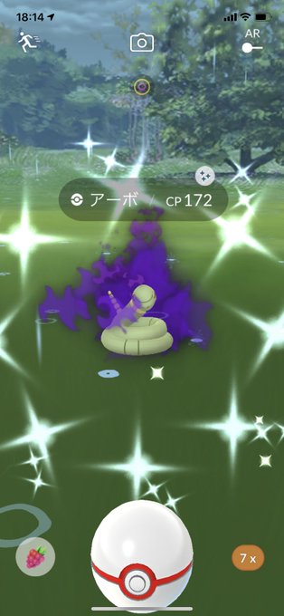 ころせんせさん がハッシュタグ ポケモンgo色違い をつけたツイート一覧 1 Whotwi グラフィカルtwitter分析
