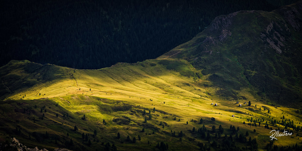 Riccardo Mantero tweet media
