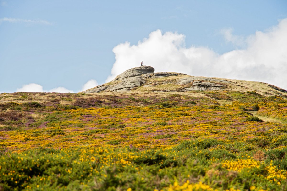 dartmoornpa's tweet photo. Another cracking weekend enjoying all #Dartmoor has to offer! ποΈ If you're heading to the moors make sure to plan ahead so everyone stays safe and has a good time π https://t.co/cu8emZinwq
#KnowBeforeYouGo #BeKindOutThere https://t.co/icOolS1Lzs