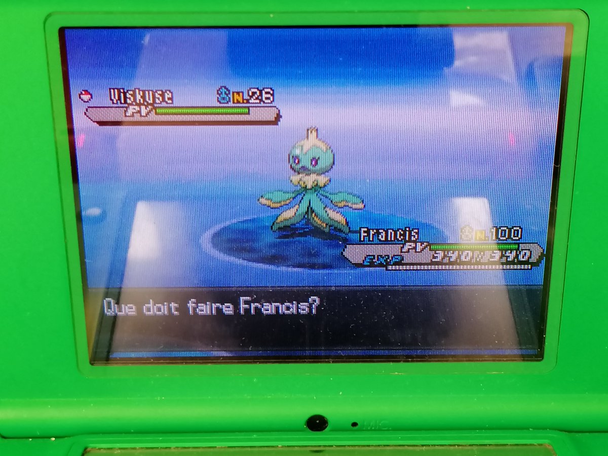 NyralliaSH's tweet photo. Paf, 2ème Viskuse mâle sur la shasse de Babimanta en 4422 rencontres ! Il ne me manque plus qu'un Viskuse femelle et j'aurai les 4 de la famille :') https://t.co/2ypPSb1Zkq