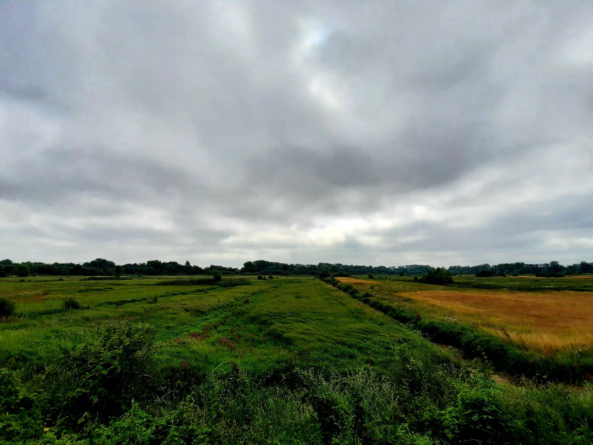 vanassche_ann's tweet photo. #vrtweer #Gent #11u37 https://t.co/lJYfsbOxUy