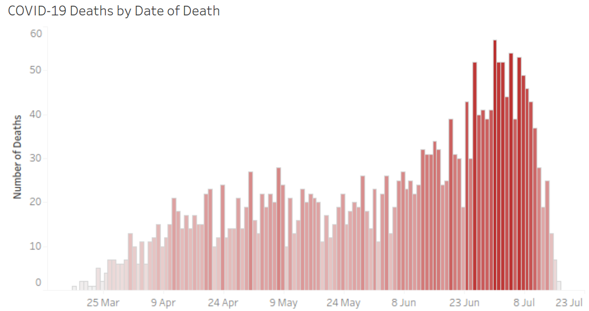 Rising number of COVID-19 deaths in Arizona, USA.
