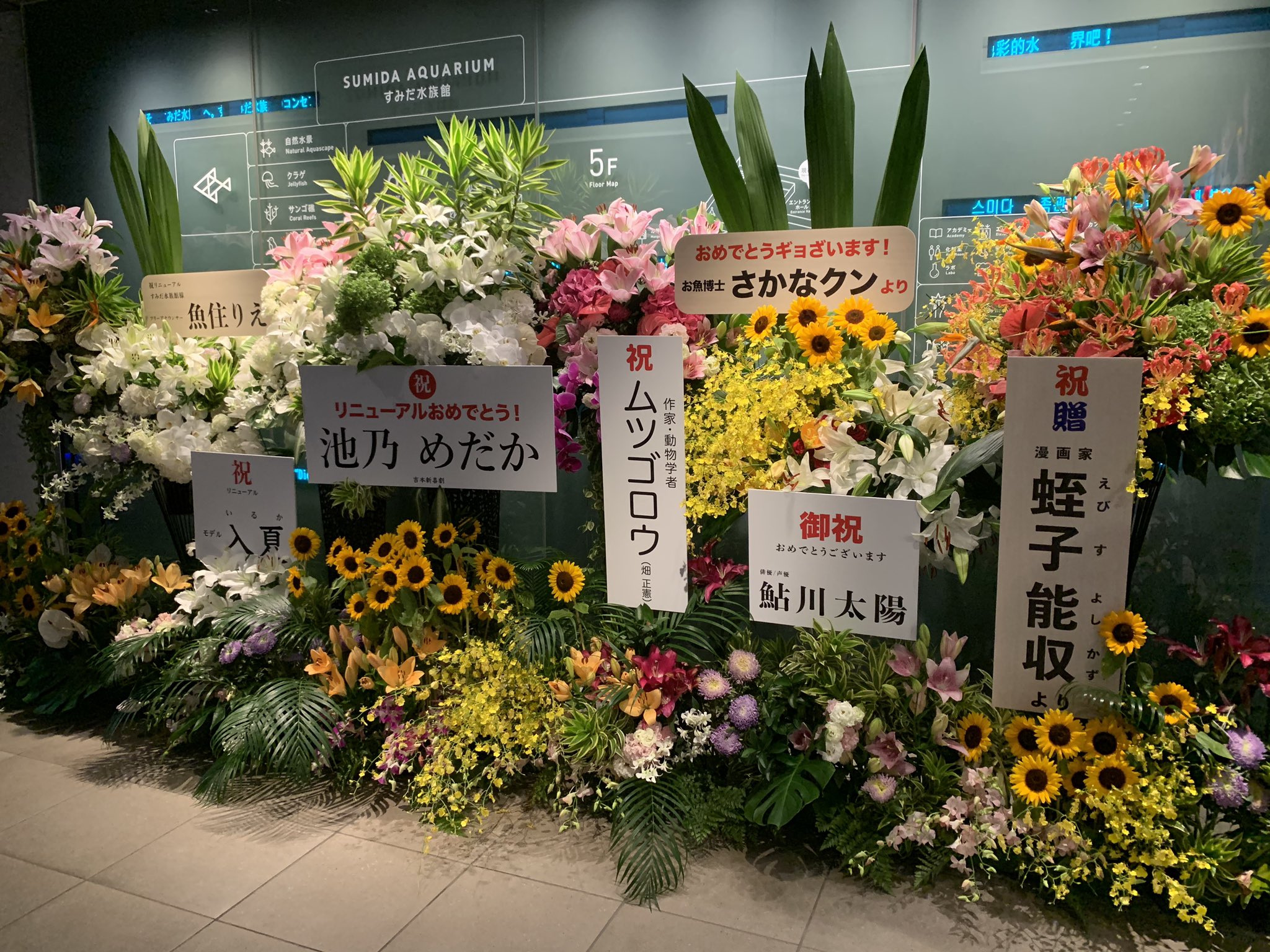 すみだ水族館のリニューアル お祝いのお花を送った有名人の名前が皆水棲生物の名前 話題の画像プラス