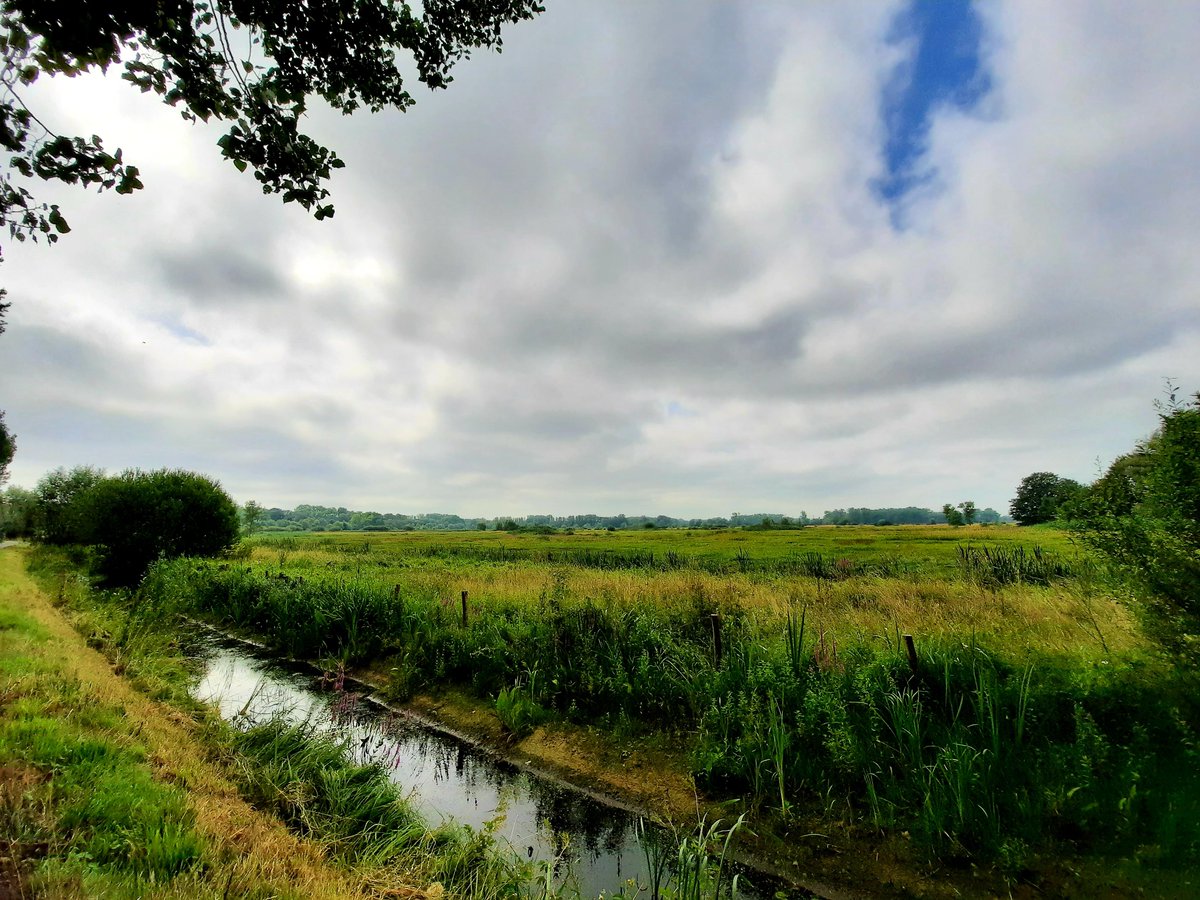 vanassche_ann's tweet photo. #vrtweer #Gent #11u44 https://t.co/DBfendI7Xt