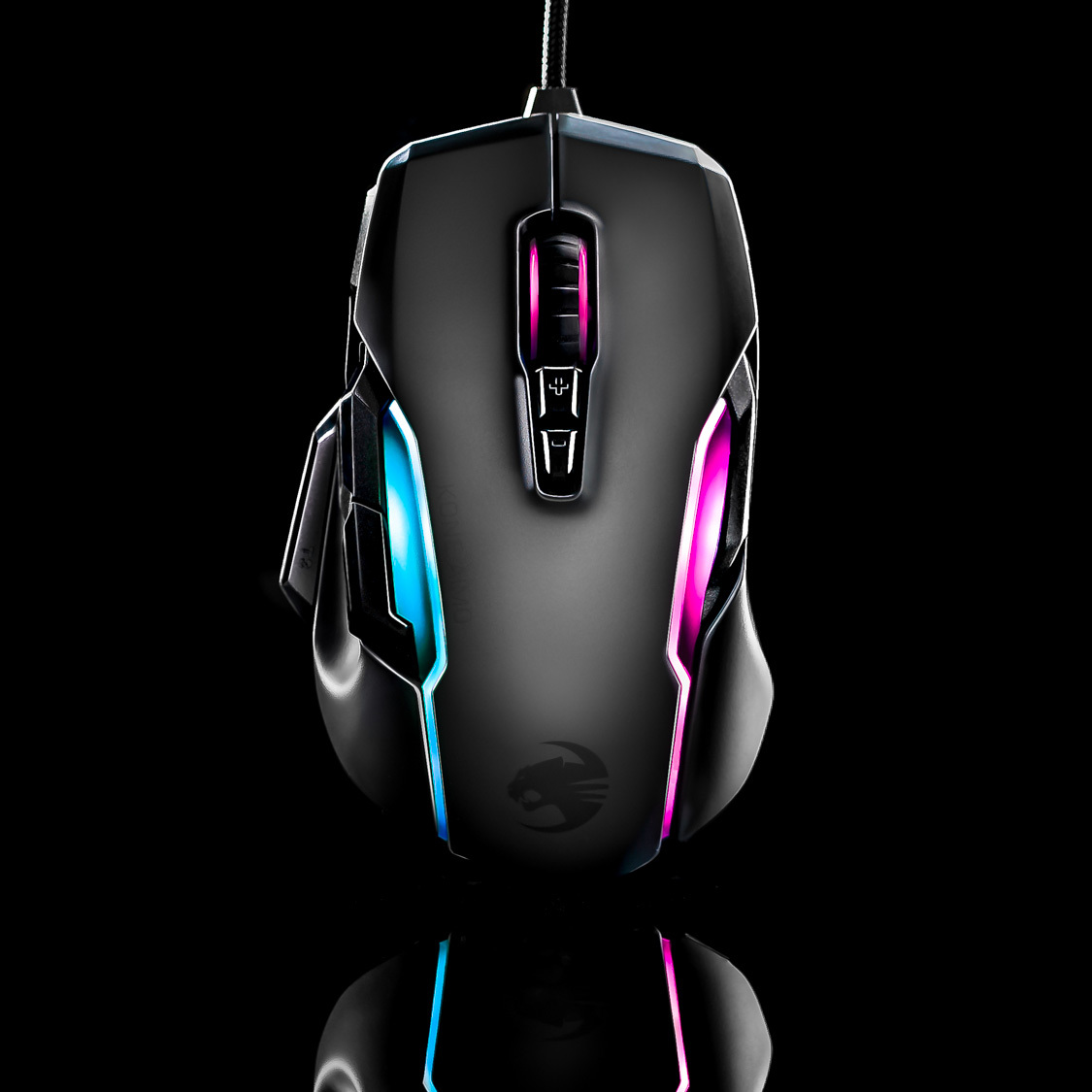 ROCCATESP tweet picture