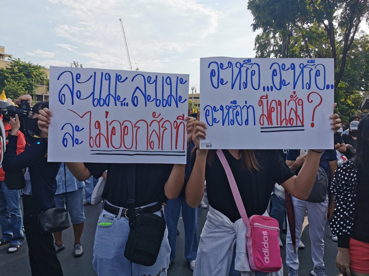 หมวยแซ่ลี่ tweet media
