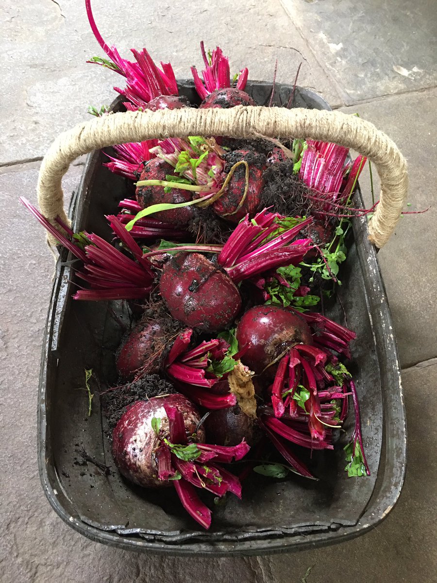 Christine Tacon tweet media