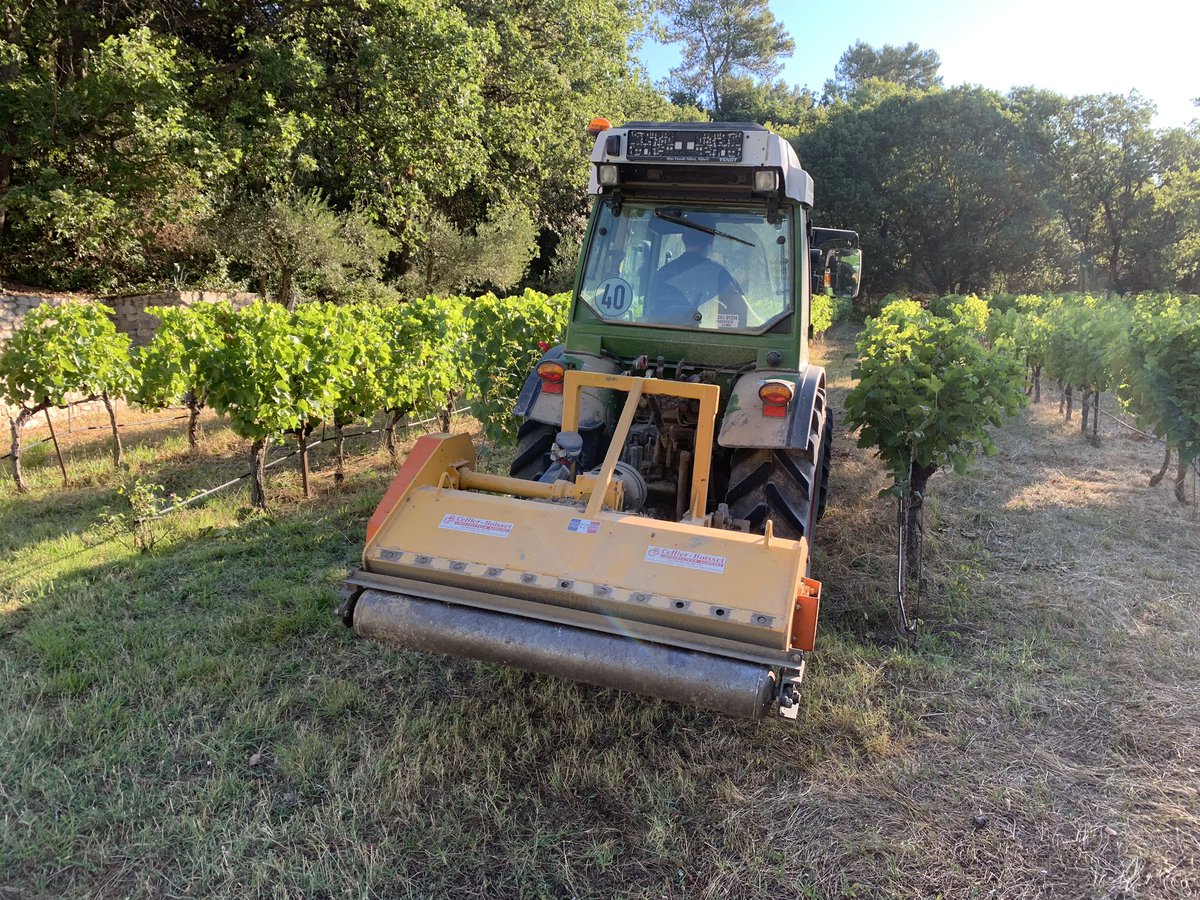 JMCambaceres's tweet photo. #GFAmasMathieu (Gard, Corconne, #PicSaintLoup),en #bio pour 3ème année. Pas engrais chimique ni désherbant.Nous ne cultivons plus entre les rangs, laissons l’herbe et les sarments de la taille. Hier nous avons broyé le tout pour faire de l’humus.Excellente récolte en perspective. https://t.co/oxk1OmzGt6