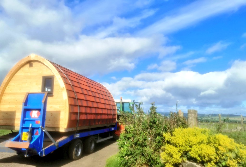 Local delivery this morning.