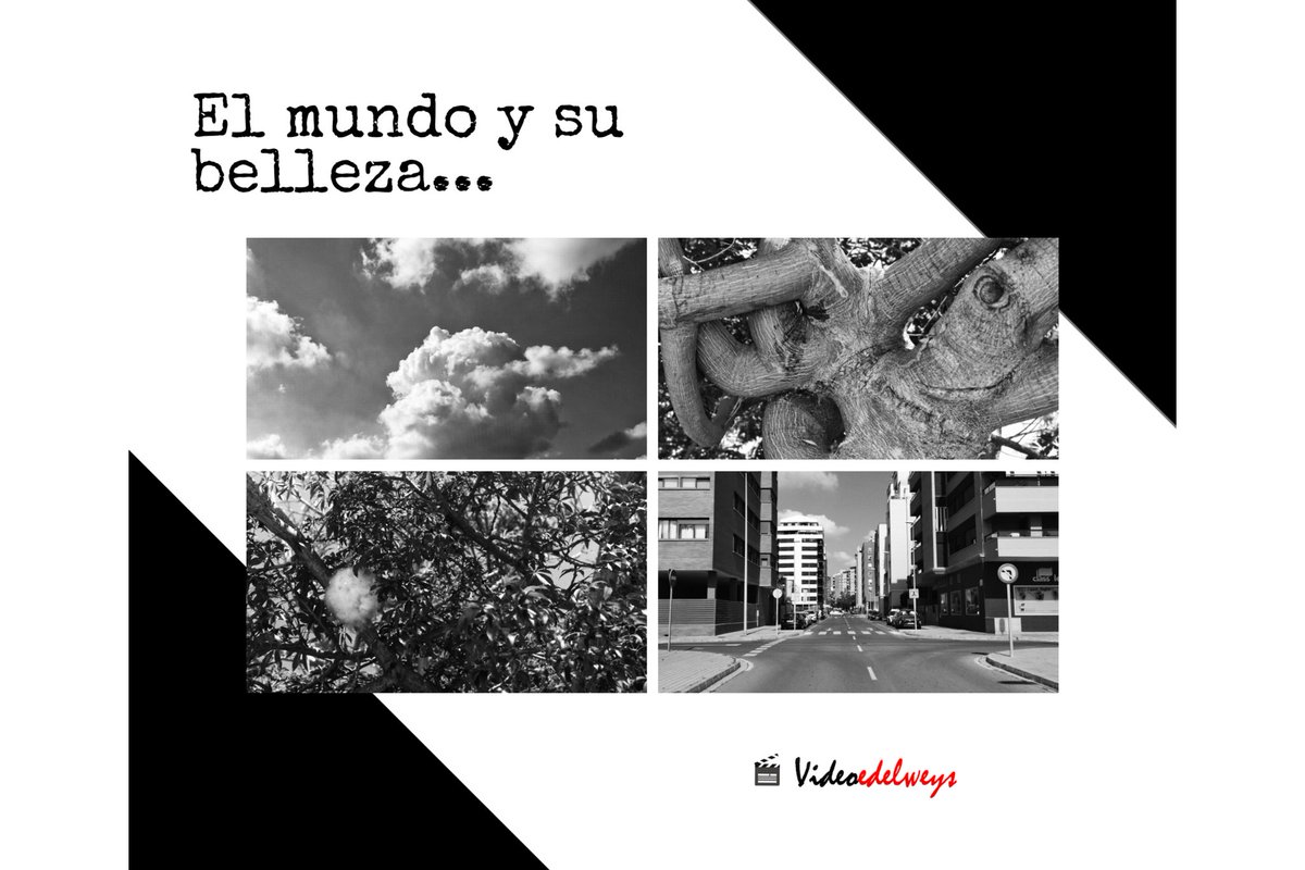 Merche_HS's tweet photo. Sal al mundo, sumérgete en su belleza, abrázalo, acarícialo, y piérdete...
¡Feliz fin de semana!
#reportajesdevídeo
#reportajesdevídeoencastellón https://t.co/5uCMguTA7v