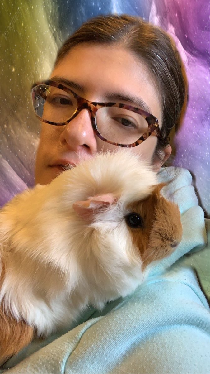 PiggysCoco's tweet photo. Having snuggles with Coco !! #snuggles #ItsOkayToNotBeOkay #bestrong #abysinnianguineapig #cosy #guineapigslife #FolloMe #follobackforfolloback https://t.co/eCvTeKzHr1