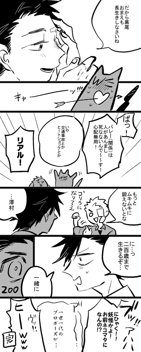 将来猫又と八咫烏になる系の黒大 