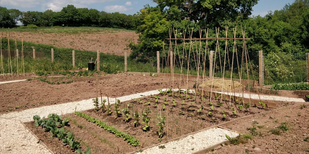 BluebellHomes's tweet photo. From bike hire to allotments, we’re working with @edenstonehomes to create #SustainableCommunities in #Lydney #Morriston &amp; #RossOnWye. Learn more via https://t.co/EUCFySvCbK https://t.co/XmYrooJXhh