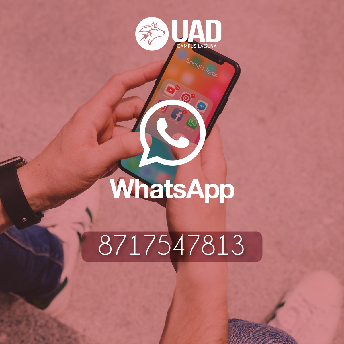 UADLaguna's tweet photo. ¡Qué esperas para mandarnos un WhatsApp!

https://t.co/cqA9d6TqC3

#siempregrandes #siemprelobos https://t.co/ygZMb5nWYm