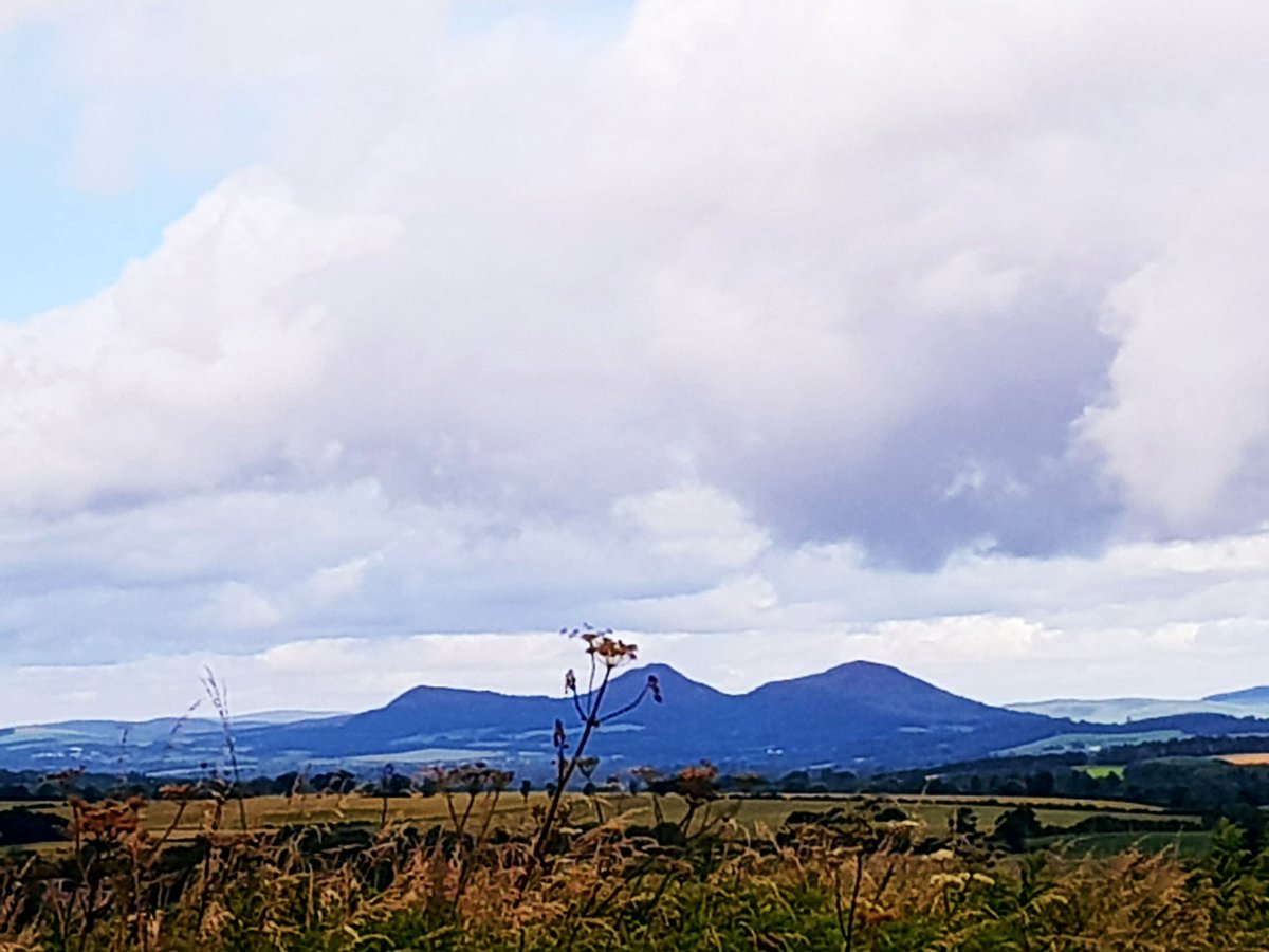 blonde_on_bikes's tweet photo. Lovely gravel ride today on paths new to me #gravelriding #pathsforall #kelsopaths #scottishborders #bordersbelles #bellesonbikes #womenwhoridebikes #WFOC2020 #beyoubybike https://t.co/cCqK3jUuQQ