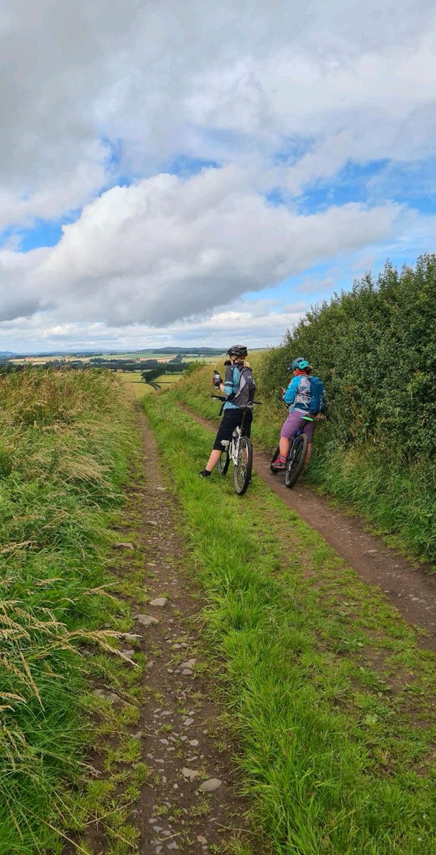 blonde_on_bikes's tweet photo. Lovely gravel ride today on paths new to me #gravelriding #pathsforall #kelsopaths #scottishborders #bordersbelles #bellesonbikes #womenwhoridebikes #WFOC2020 #beyoubybike https://t.co/cCqK3jUuQQ
