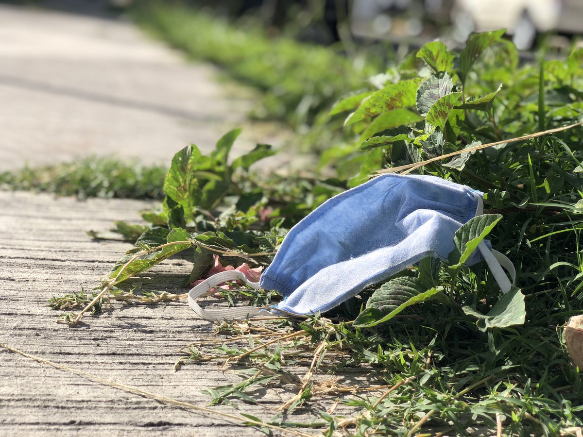 herrera_badillo's tweet photo. Cada vez que me encuentro con un tapabocas tirado en la calle me pongo a pensar: “¿no hemos escarmentado ya? ¿No aprendemos?” 

Atentar contra la naturaleza significó vivir una pandemia que ha dejado una grave crisis económica y miles de muertes. 

Y ni así hay conciencia. https://t.co/OMrmJ5nNf3