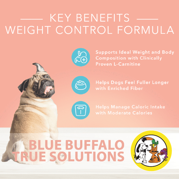 Best West Pet Foods Nairn - Anna Blog