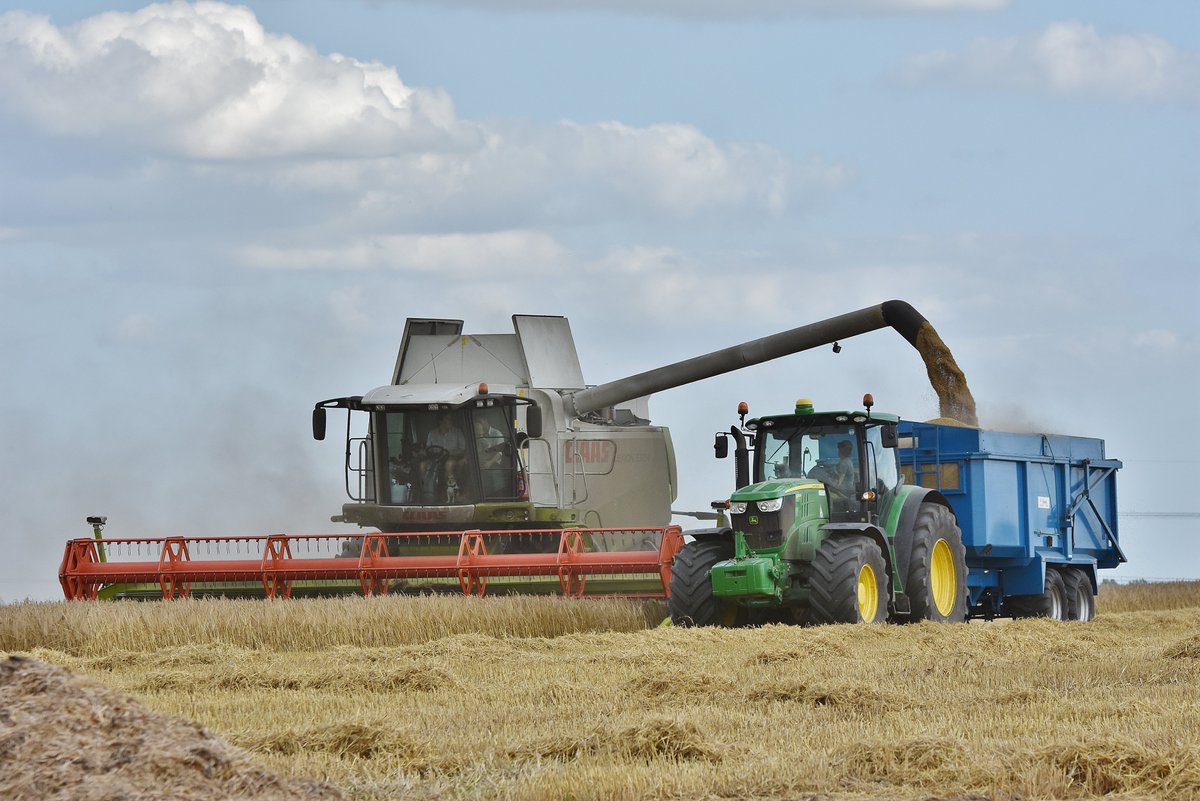 Dom Gwilliam-Bell tweet media