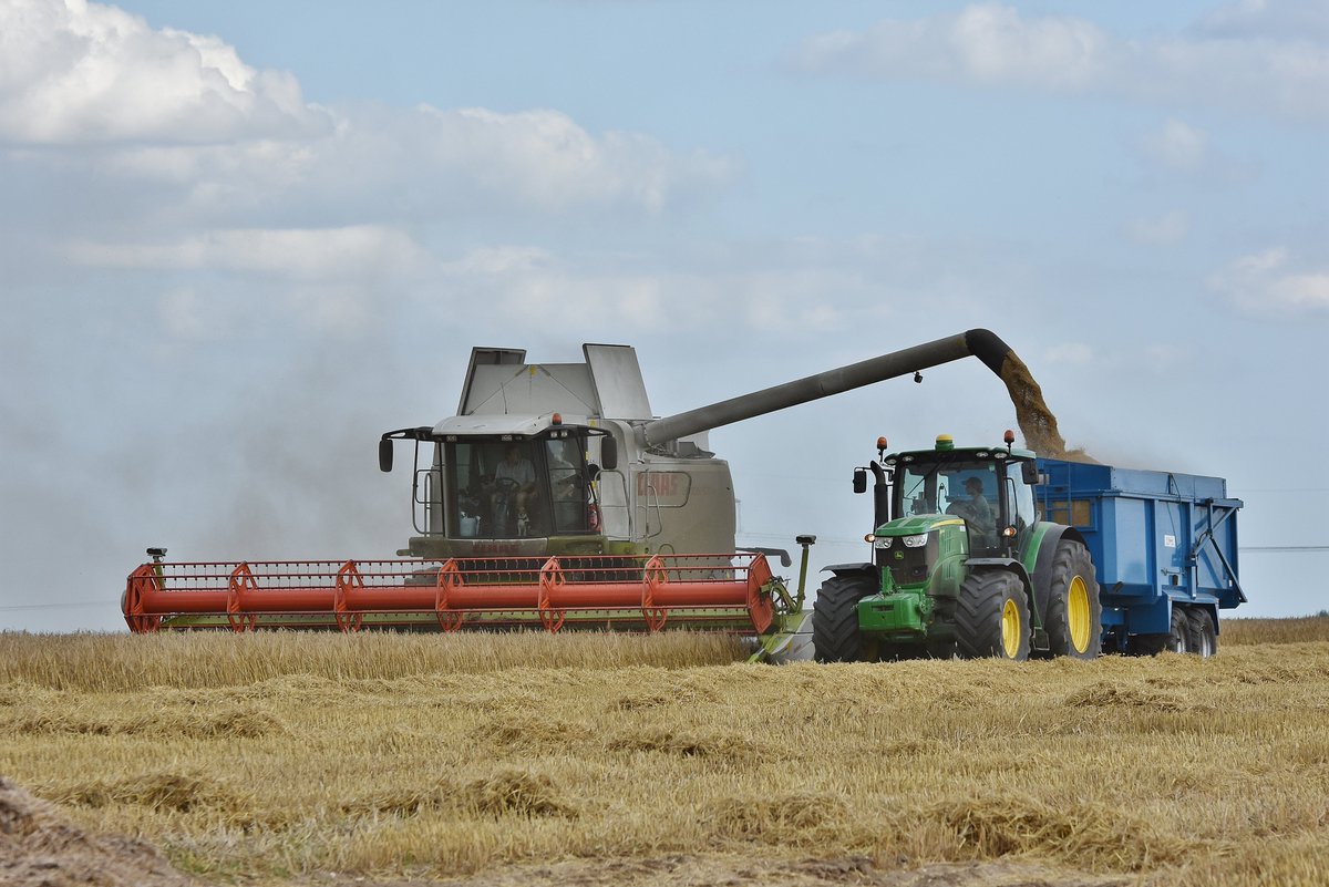 Dom Gwilliam-Bell tweet media