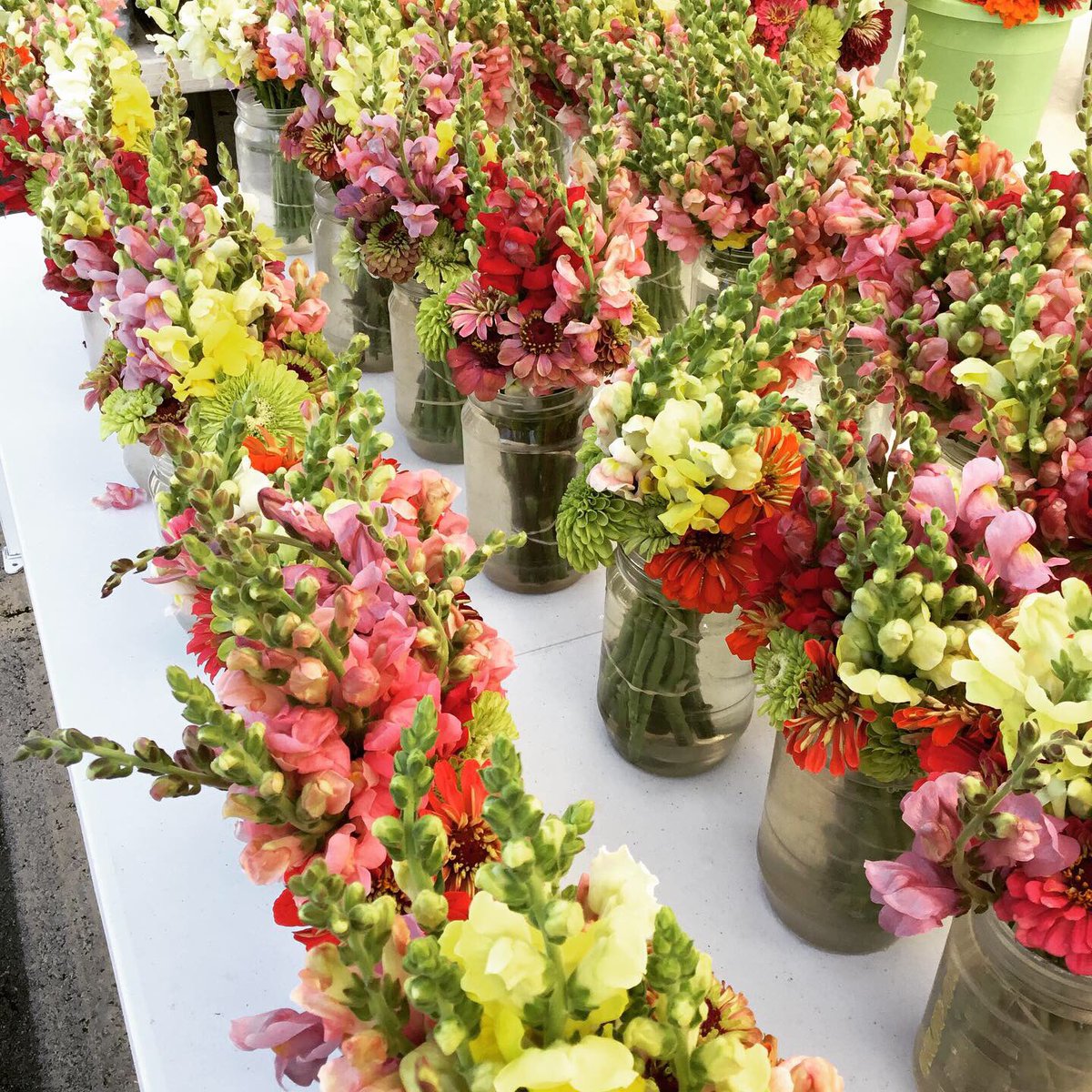 CNYRMA's tweet photo. Stop down to the farmers market! Beautiful flower arrangements, delicious blueberries, sour cherries, sweet cherries, peaches, and so much more! Please remember that this is not for social gathering! We are trying to provide a safe and clean shopping environment! https://t.co/oEcsQDdpd3