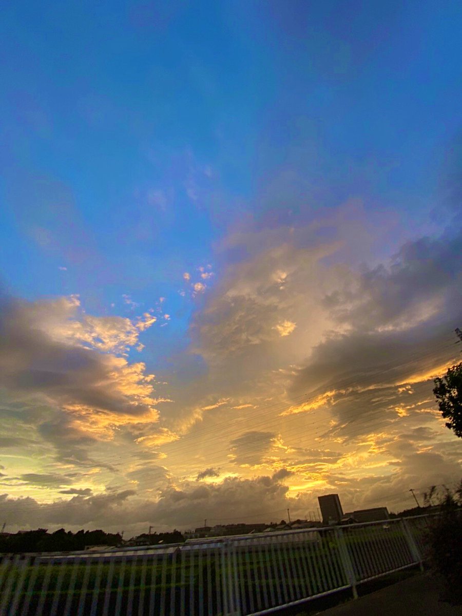 綺麗な空を見たい気分