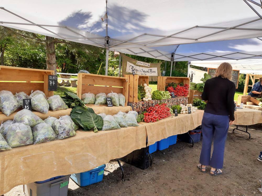 Nelson Visitor Centre tweet media