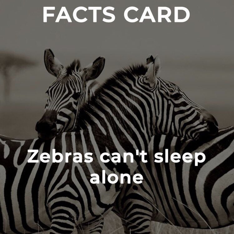GregLickteig's tweet photo. Honestly, same. #ImAZebra https://t.co/528Nikym1w