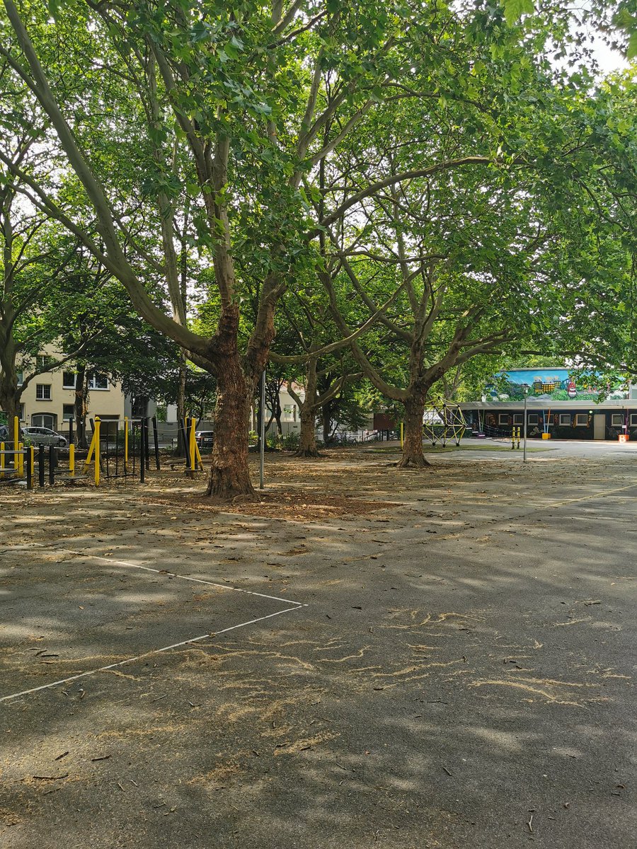 Am Ort der heutigen Petri-Grundschule wurde 1890 in Dortmund zum ersten Mal Fußball gespielt.  #20JahreSG