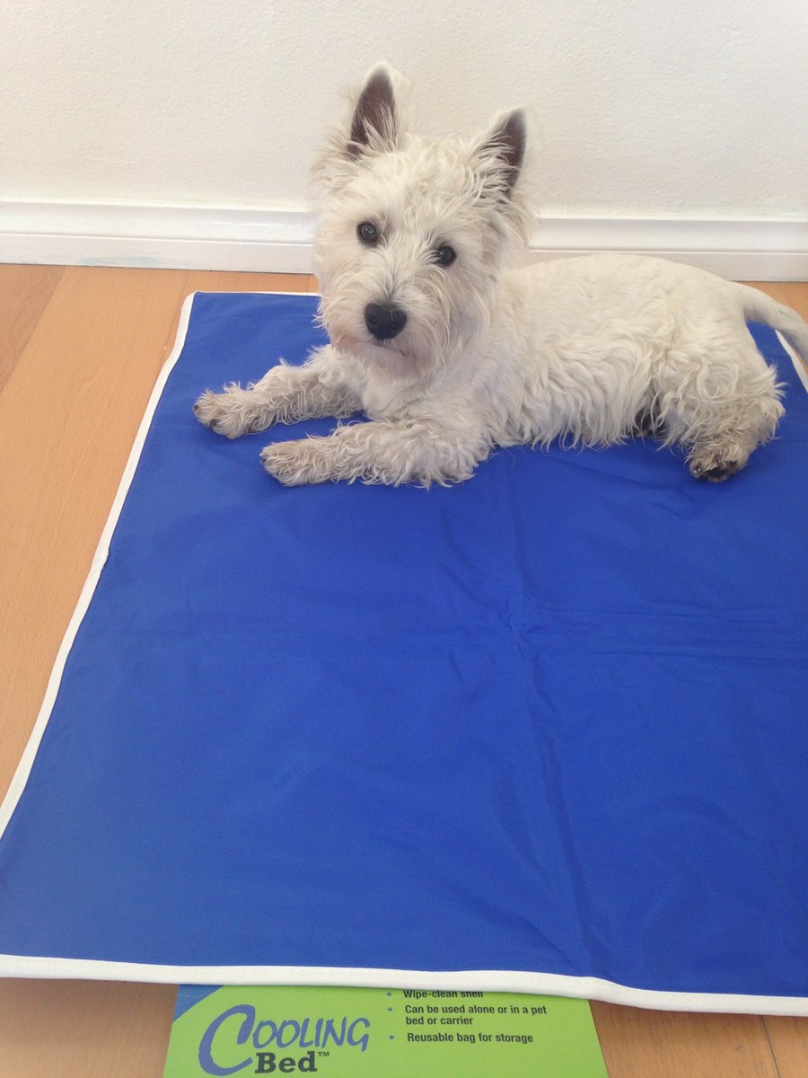 Pet cooling mats are great at keeping your pets cool, but what happens if they eat them???....Read more here
facebook.com/VPISGlobal/pho…
