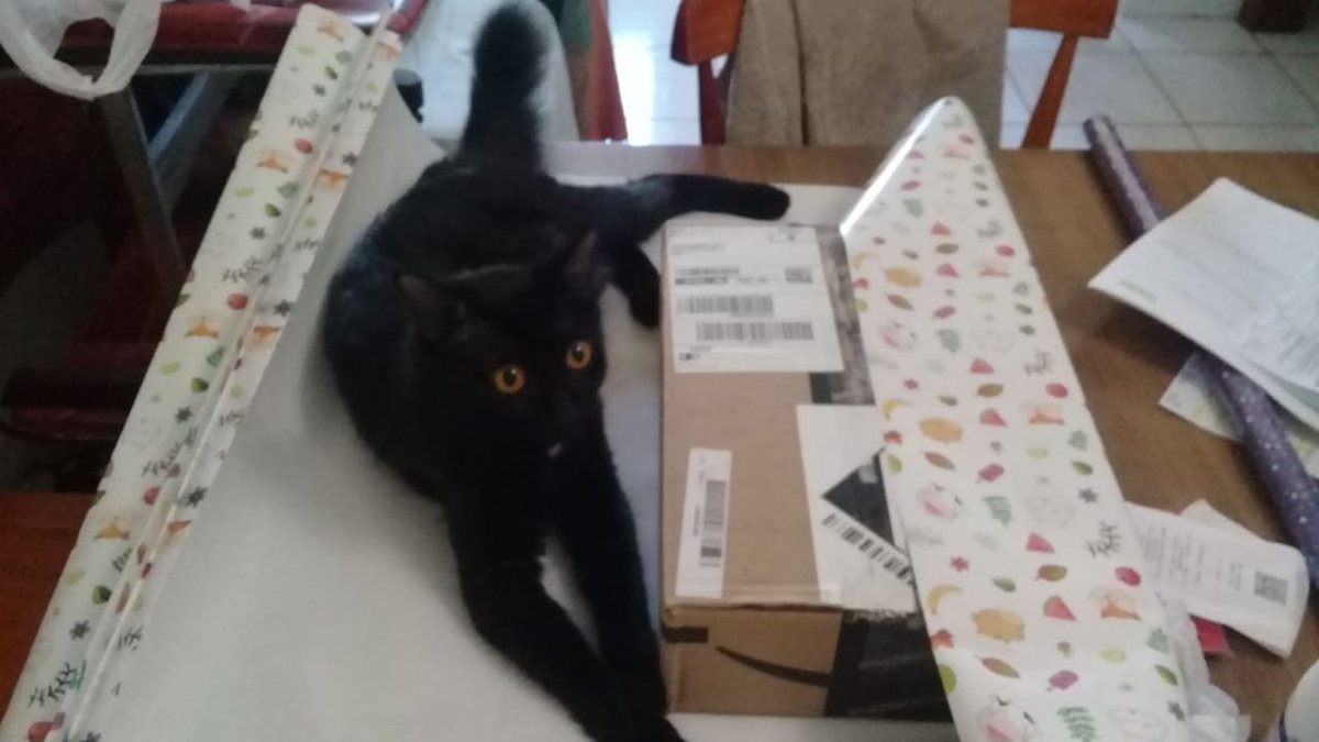 moonmincasa's tweet photo. Viu a MoonMin por ai?

Ola, a MoonMin fugiu da casa da PetAnjo que estava cuidando dela na rua Dário Totta dia 12/02/2020. É longe de onde ela mora e deve estar assustada. Se você viu a MoonMin me avise por favor, ofereço recompensa para quem encontrar ela. Ela é pequena, bem (+) https://t.co/oaF1gwhYCK