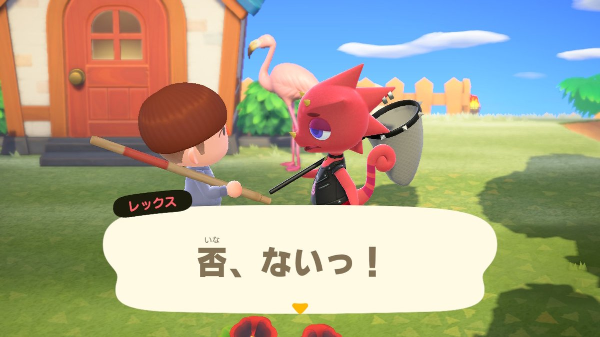 hutsuki_'s tweet photo. #どうぶつの森 #AnimalCrossing #ACNH #NintendoSwitch https://t.co/25i9Cmwz0x