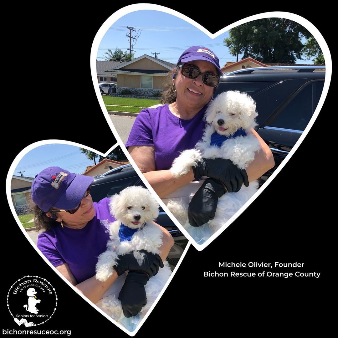 Bichon Rescue of Orange County