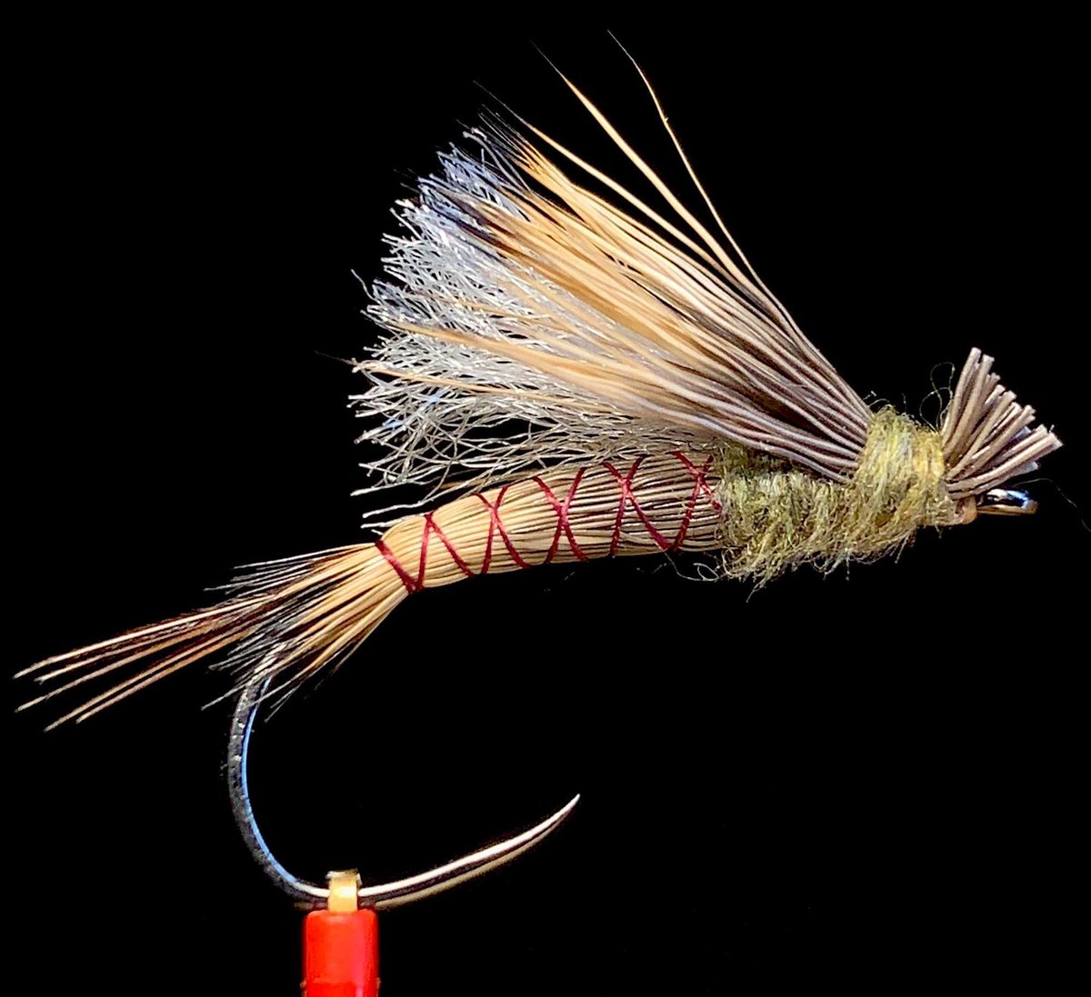 MidCurrent's tweet photo. Galloup's Found Link // tie and image by Ethan Smith @fly_science
#flyfishingflies #fishingflies #loonoutdoors #letthemgosotheycangrow #midcurrent #cutthroattrout #wetflyfishing #wetfly #bulltrout #flyfishingadventures #nymphing #rainbowtrout #trout #flyfishing #flytying https://t.co/TizflcLHSA