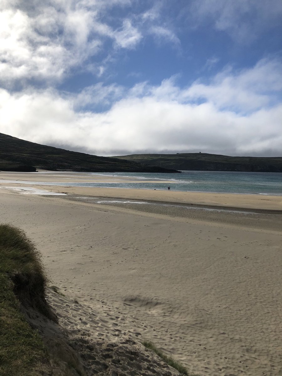 Emmet Farrell tweet media