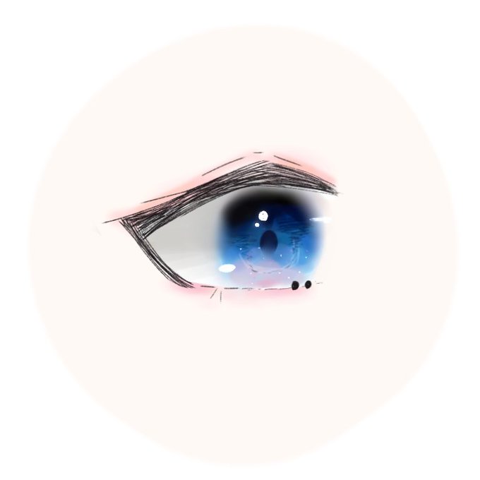 お目目の描き方のtwitterイラスト検索結果 古い順