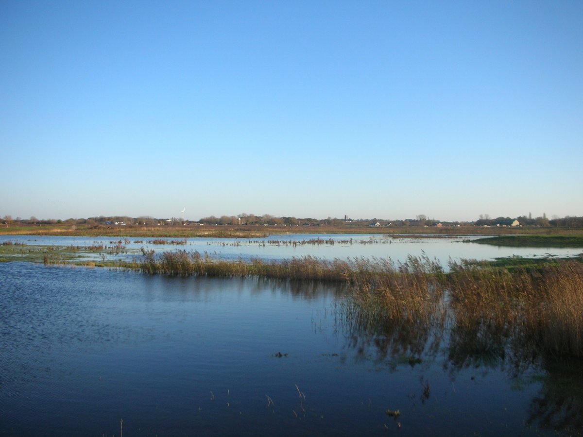 NorfolkRO's tweet photo. Today is #WorldListeningDay and we are celebrating by tuning into the sounds of the #Norfolk countryside in a new video created by @NorfolkWT for our #SeasonOfSound
Link: https://t.co/Eo8Q4vZthl
@KatKrause @BLSoundHeritage #WLD2020 #thecollectivefield #UnlockingOuSoundHeritage https://t.co/zB5viAimMx