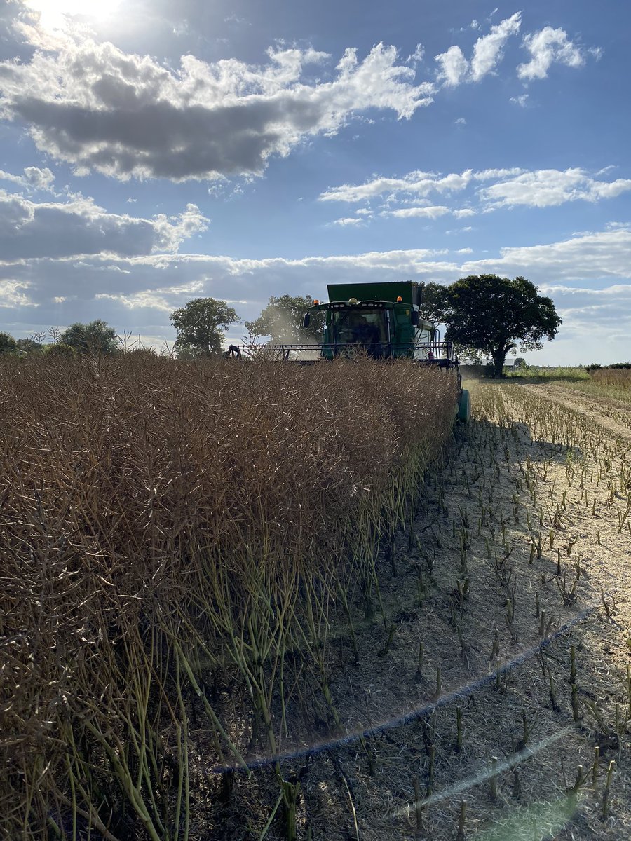RHN1988's tweet photo. Good use of @CertisUK sluxxHP frisbee as a loss checker. Combining Rames HEAR rape really pleased with the yield somewhere around the 4.5T/ha mark. @FrontierAg @anfarming @jimmyanderson91 https://t.co/ru8gCpBgat