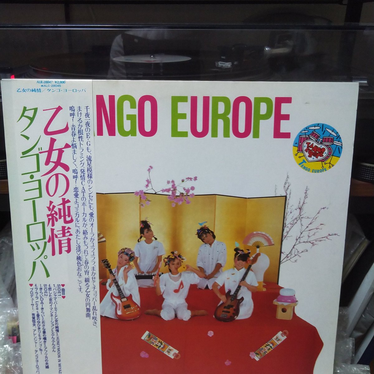 さいとういんこ