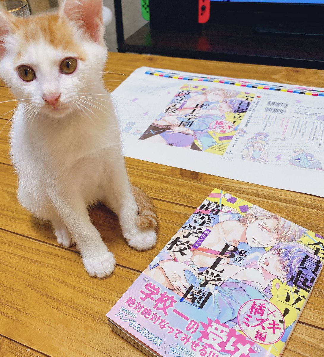 \発売まであと2日!!/
コミックスも少し前に私の手元に届きました☺️✨
前の巻より少し分厚めです?

描き下ろしも2組分あります!!
よろしくお願いします??

「全員起立!私立BL学園高等学校~橘×ミズキ編~ 」
https://t.co/ahSN2d8S65 