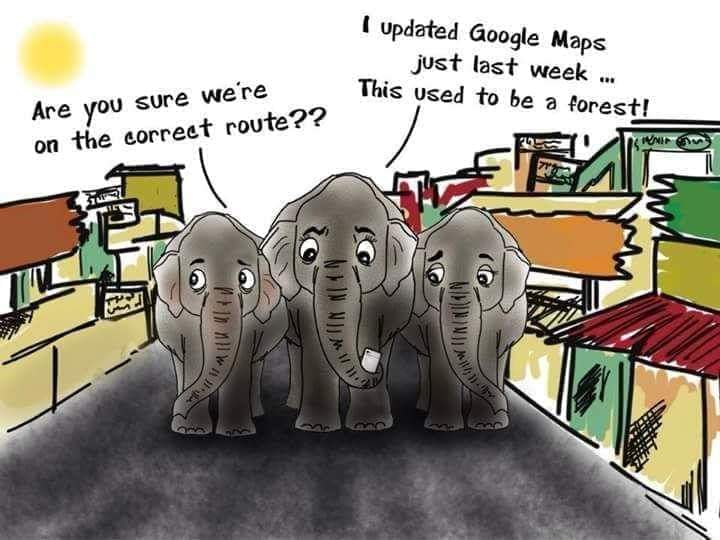 AshishL66897791's tweet photo. Wildlife conservation is not anti-development. Rather, it is about parallel goals where there is a balance between development and protection of the environment.
#RethinkNijgadh #BinaashBinakoBikash #EnsureTransparency #StudyaBetterAlternative
#SaveNijgadh #StandAgainstMafia https://t.co/JsoFktWA1i